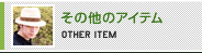 その他のアイテム