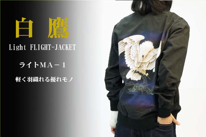 ライトＭＡ－1 「白鷹」画像