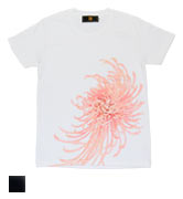 半袖Tシャツ「乱菊」